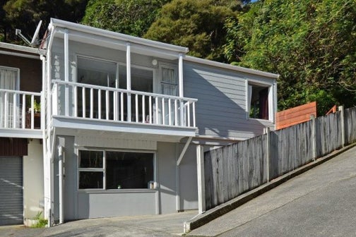 41A Cleary Street, Waterloo, Lower Hutt