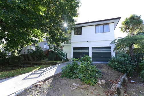 9 Phoenix Place, Dinsdale, Hamilton