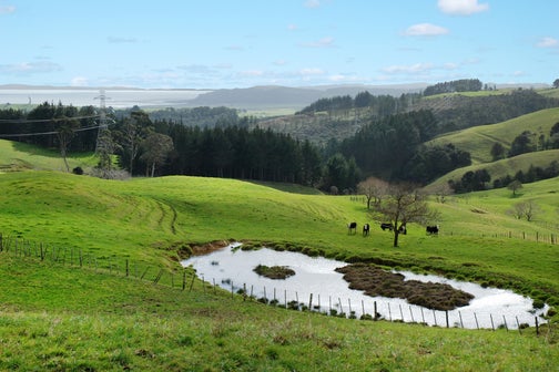 0 Kaipara Coast Highway, Kaukapakapa, Kaukapakapa