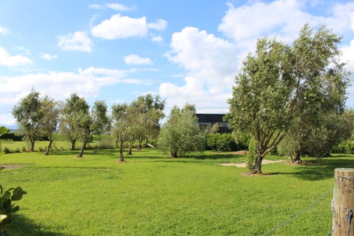 34 Burgundy Drive, Martinborough, Martinborough