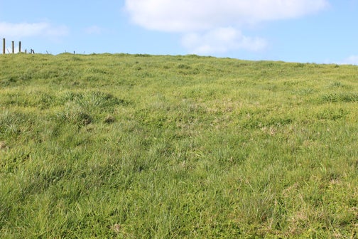 59B DEVICH Road, Mangawhai, MANGAWHAI