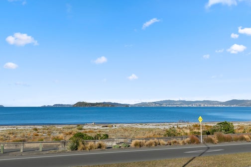 233 The Esplanade, Petone, Lower Hutt