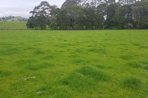 0 Kaipara Hills Road, Kaipara Flats, Warkworth