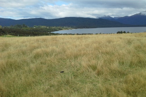35 Mahara Avenue, Te Anau