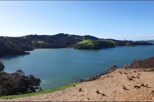 691 Orapiu Road, Waiheke Island, Waiheke Island