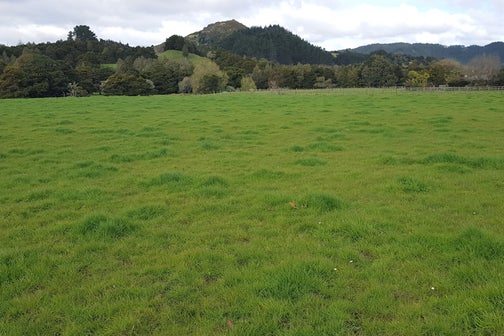 0 Old Woodcocks Road, Kaipara Flats, Warkworth