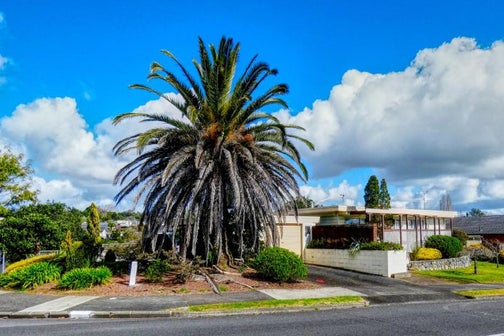 23 Ripon Crescent, Meadowbank, Auckland