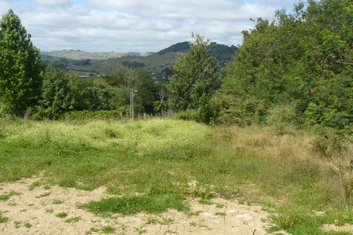 0 Mangarino Road, Te Kuiti, Te Kuiti