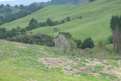 0 Franklin Road, Paparoa, Paparoa
