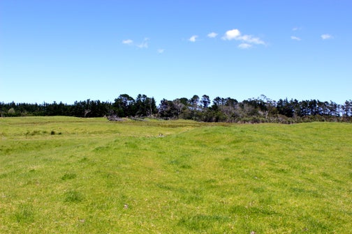 0 State Highway 1, Houhora, Pukenui