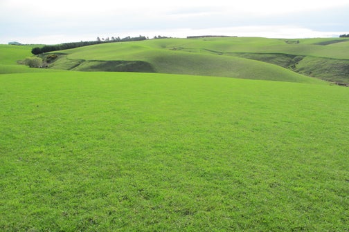 0 Clinton Hwy, Te Houka, Balclutha