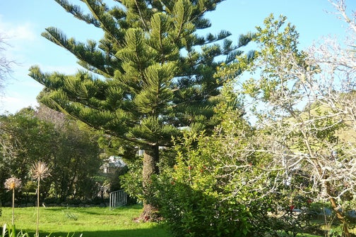 18 Regent Street, Whakapirau