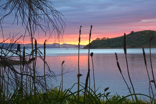 113 Hunterville Road, Waiheke Island, Waiheke Island