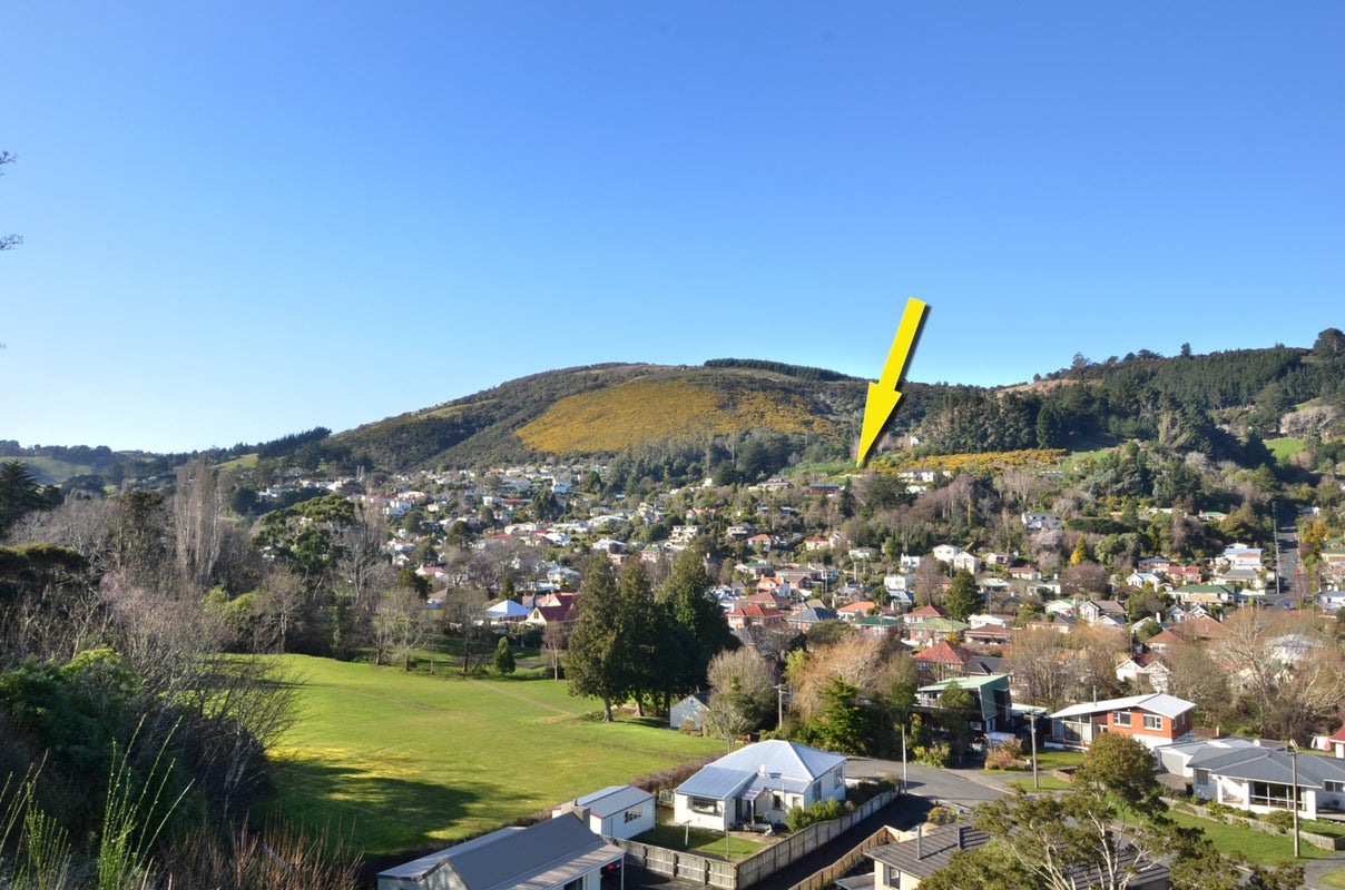 8B Pleasant Place, North East Valley, Dunedin - Carousel 1