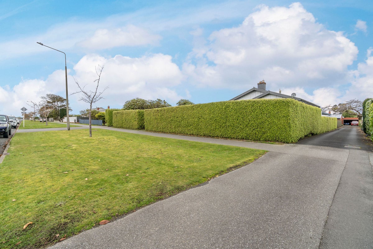 99 Chelmsford Street, Windsor, Invercargill - Carousel 21