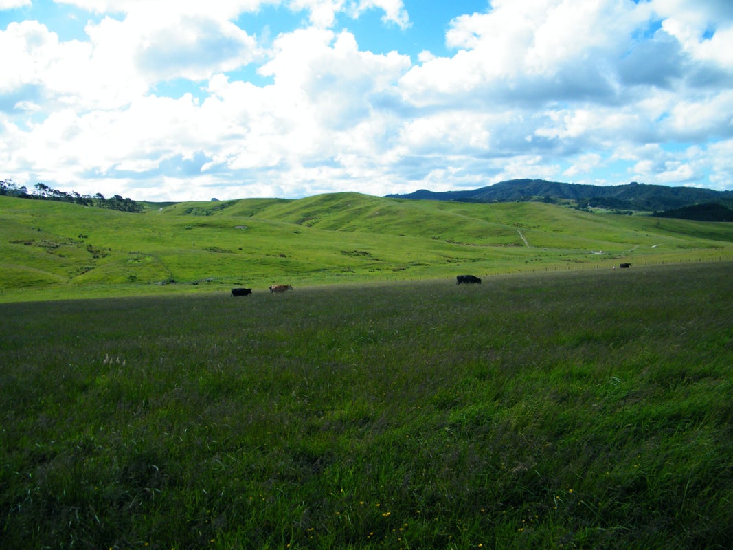 0 Brown Rd, Hakaru, Kaiwaka - Carousel 5
