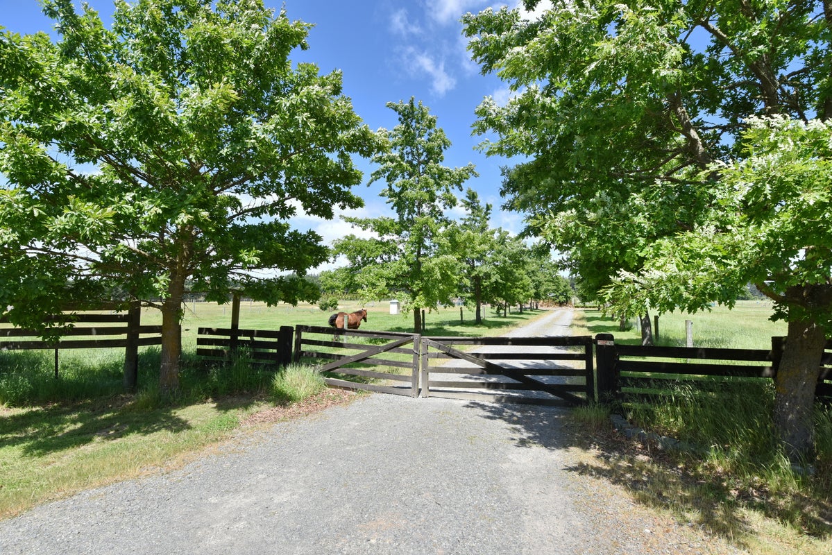 353 Bells Road, West Melton, Christchurch - Carousel 2