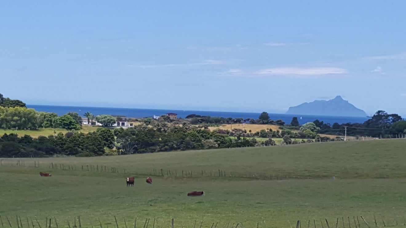 0 State Highway 1, Ruakaka, Ruakaka - Carousel 1
