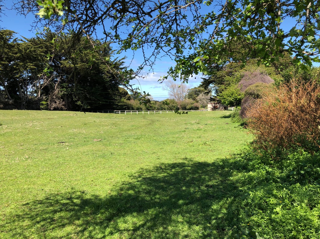 26 Buxton Road, Westmere, Whanganui - Carousel 2