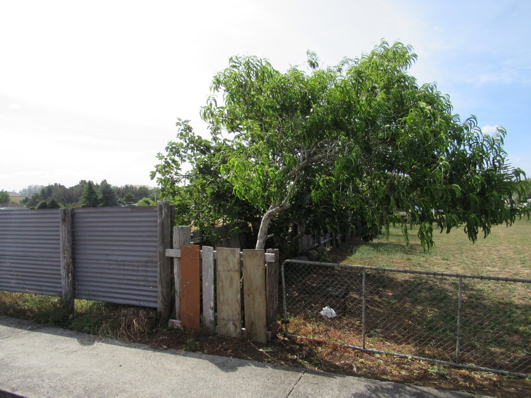 5 Tennyson Street, Ohaeawai, Kaikohe - Carousel 2