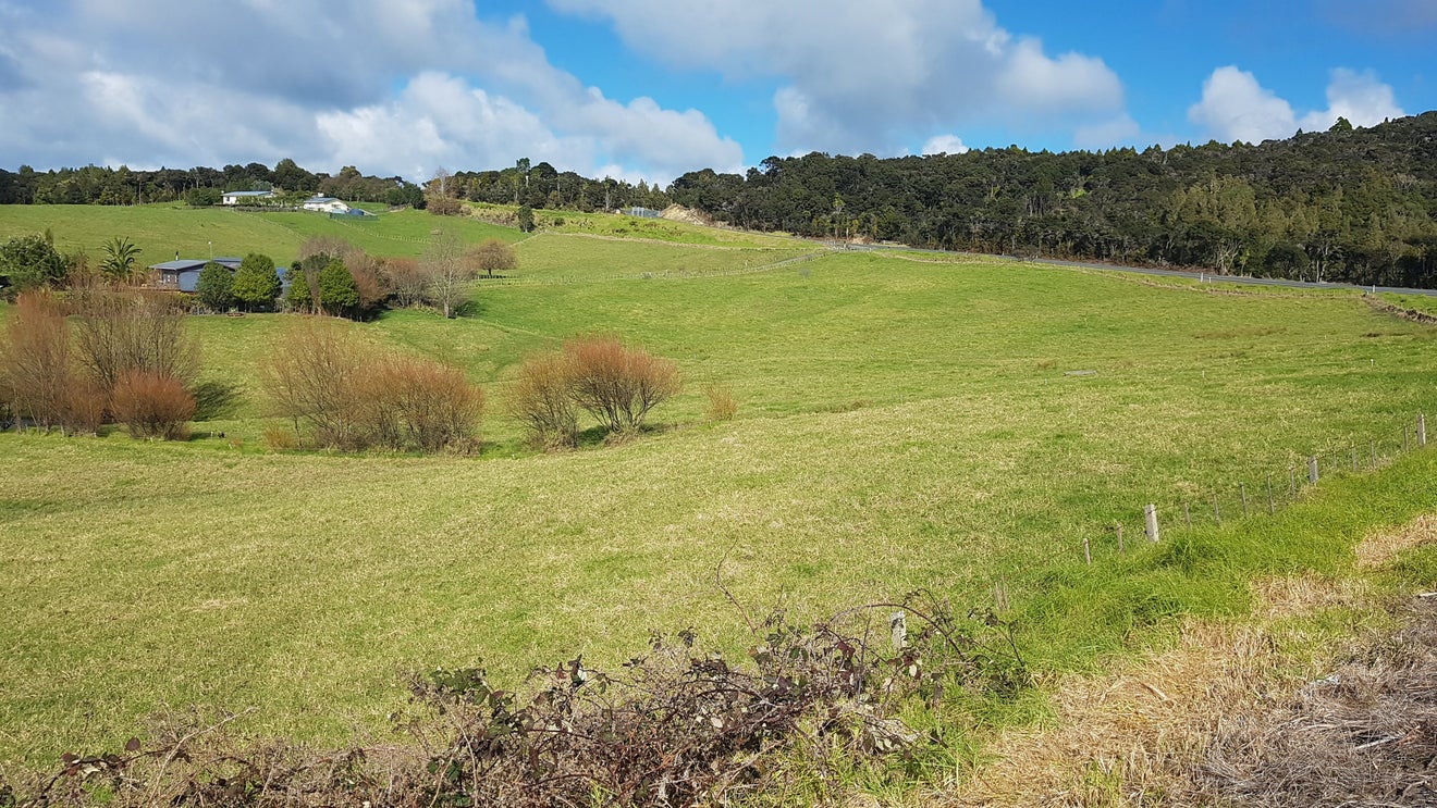 659 Tinopai Road, Matakohe - Carousel 2