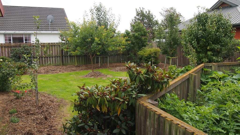 34 Tucker Street, Allenton, Ashburton - Carousel 10