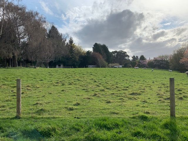 542 North Road, Lorneville, Invercargill - Carousel 2