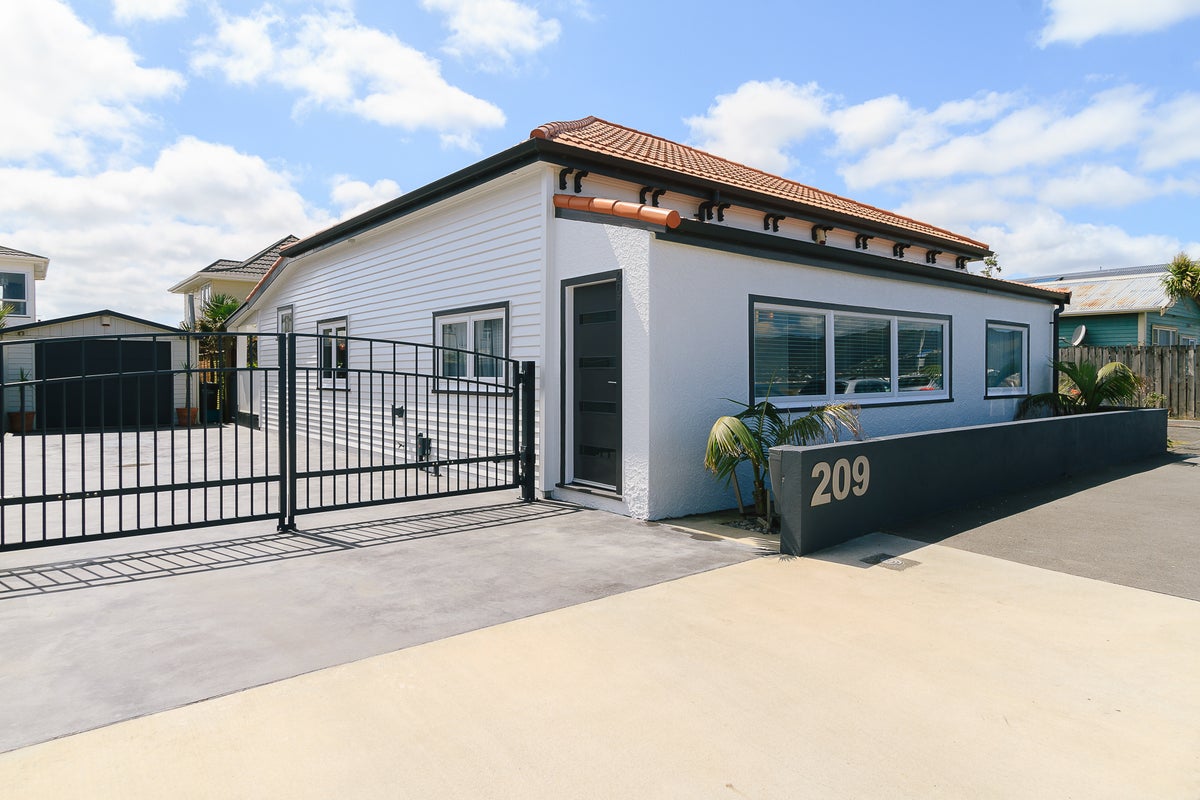 209 The Esplanade, Petone, Lower Hutt - Carousel 2