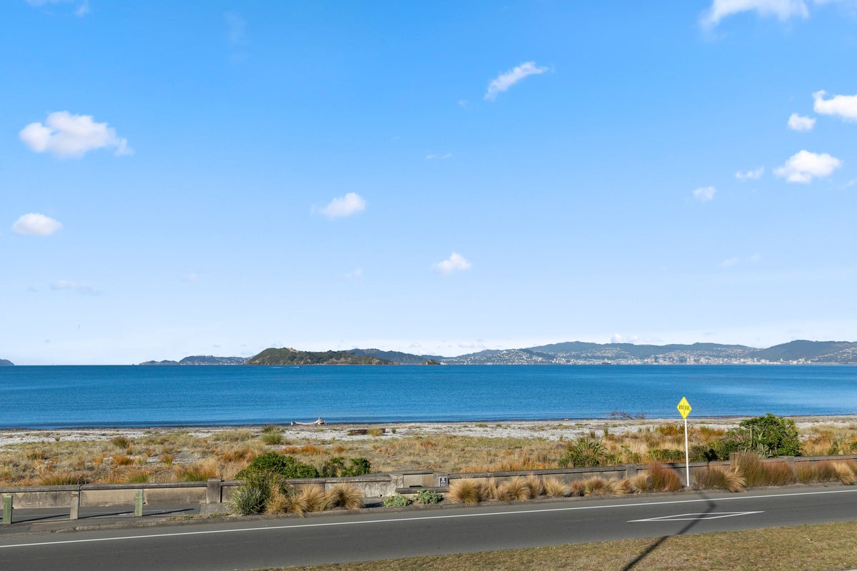 233 The Esplanade, Petone, Lower Hutt - Carousel 1