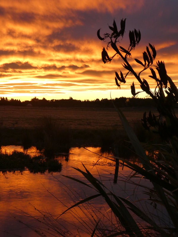 7 Riverside Lane, Spencerville, Christchurch - Carousel 20