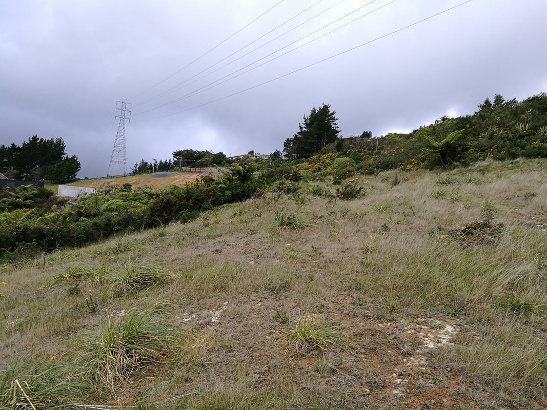 0 Kaitangata Highway, Stirling, Stirling - Carousel 10