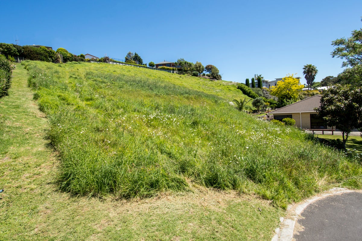 14 Shrewsbury Close, Bethlehem, Tauranga - Carousel 10