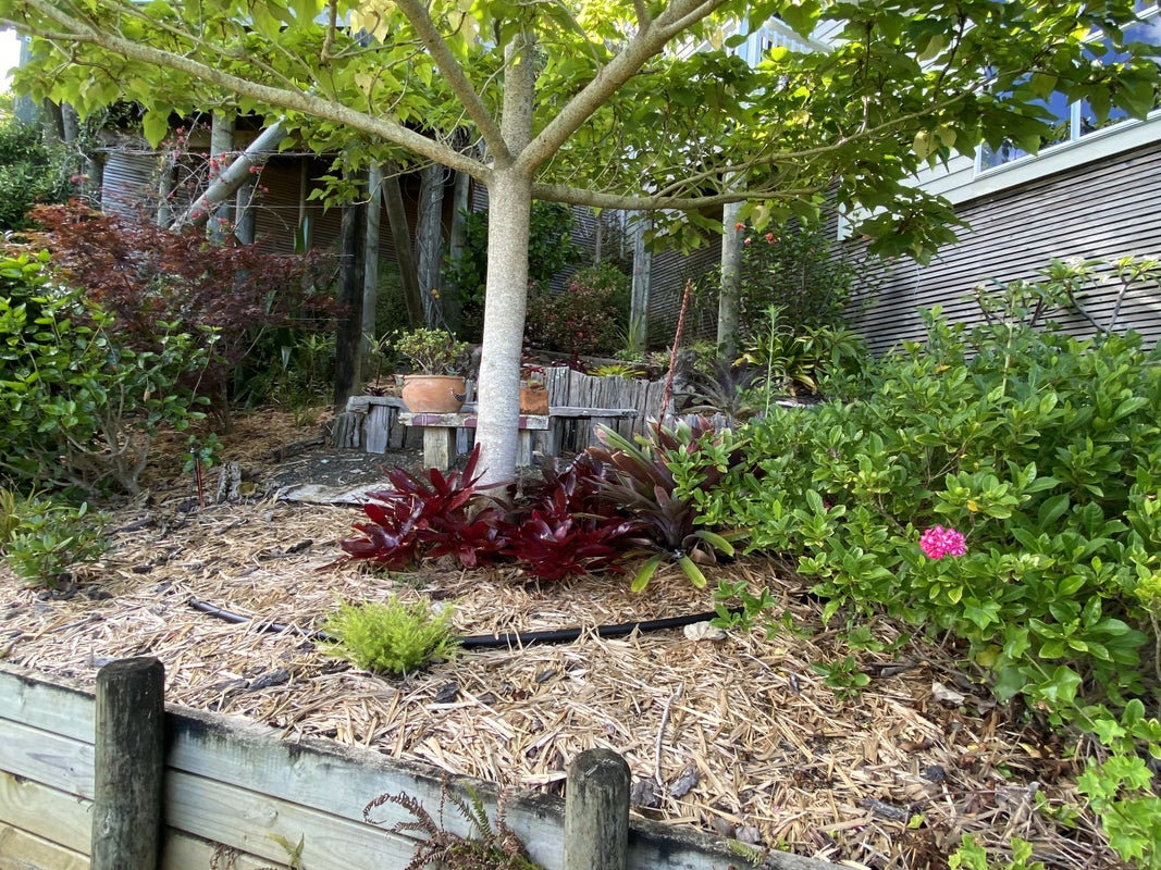 18 Highfields, Ahipara, Kaitaia - Carousel 30