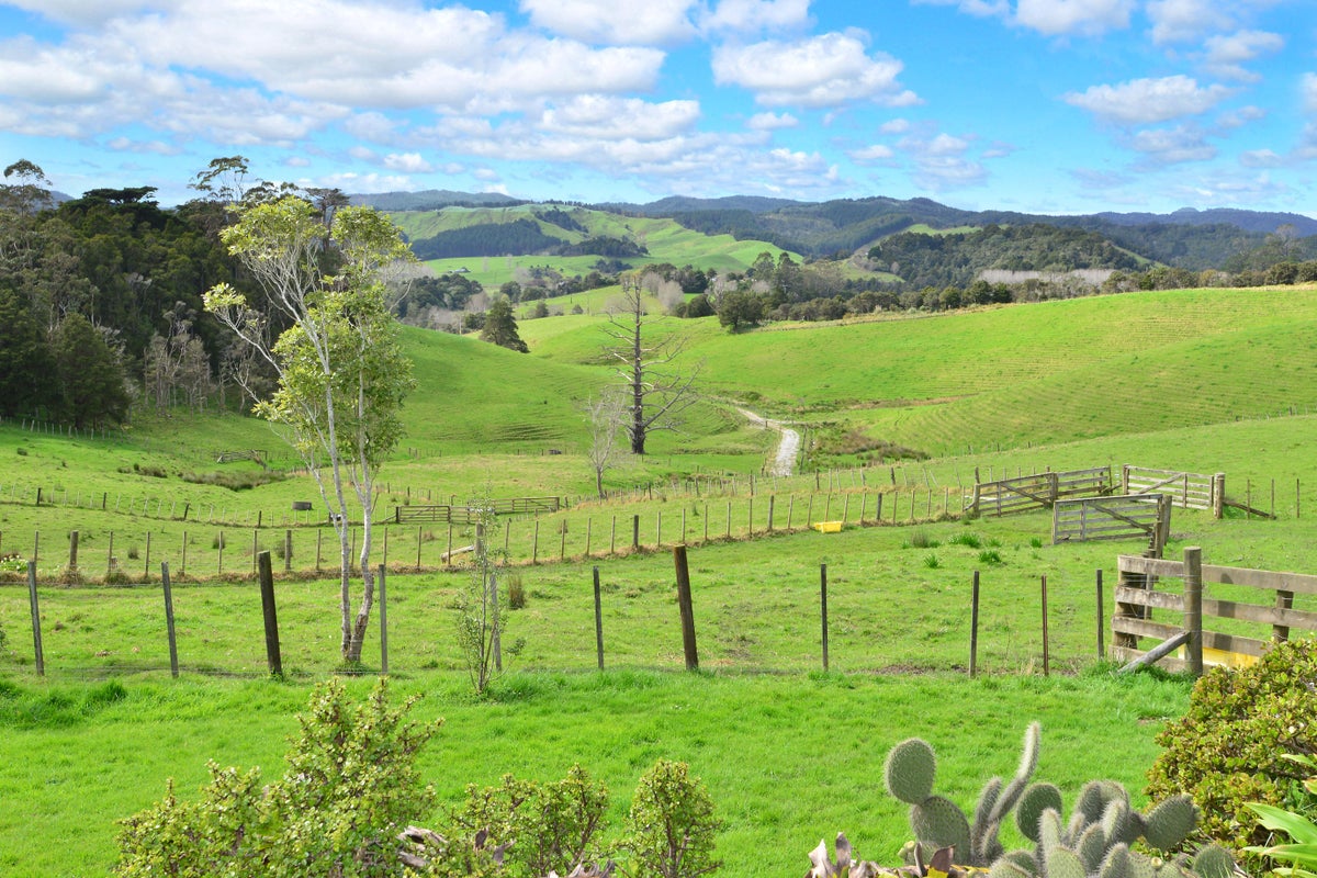 0 Cox Road, Rotoorangi, Cambridge - Carousel 10