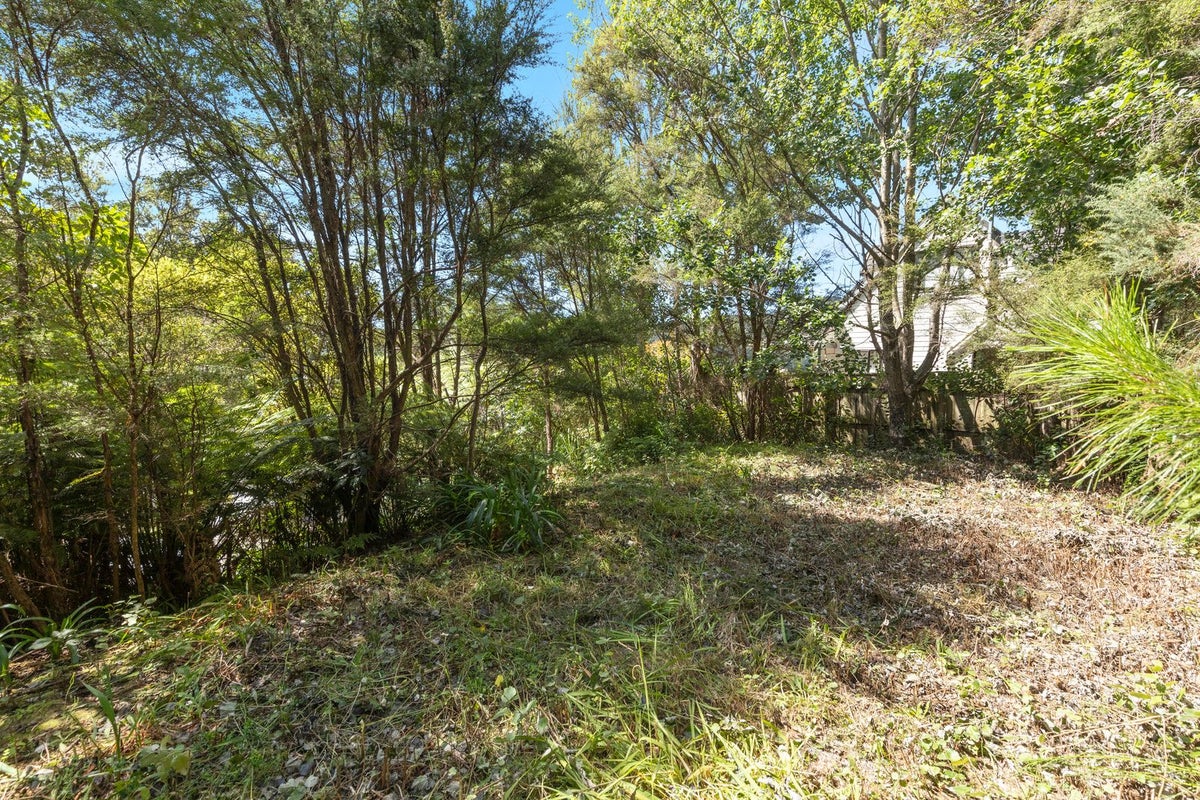 45 Rawhiti Street, Stokes Valley, Lower Hutt - Carousel 21