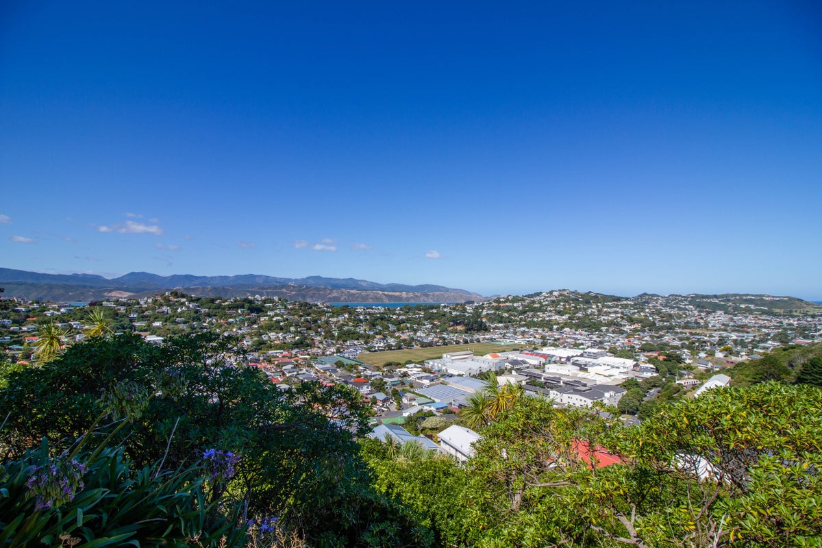16 Tamahine Street, Maupuia, Wellington - Carousel 18