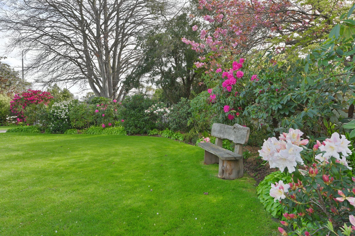 69 Kotare Street, Fendalton, Christchurch - Carousel 2