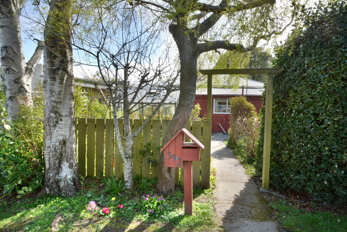 392 Pine Hill Road, Pine Hill, Dunedin - Carousel 1