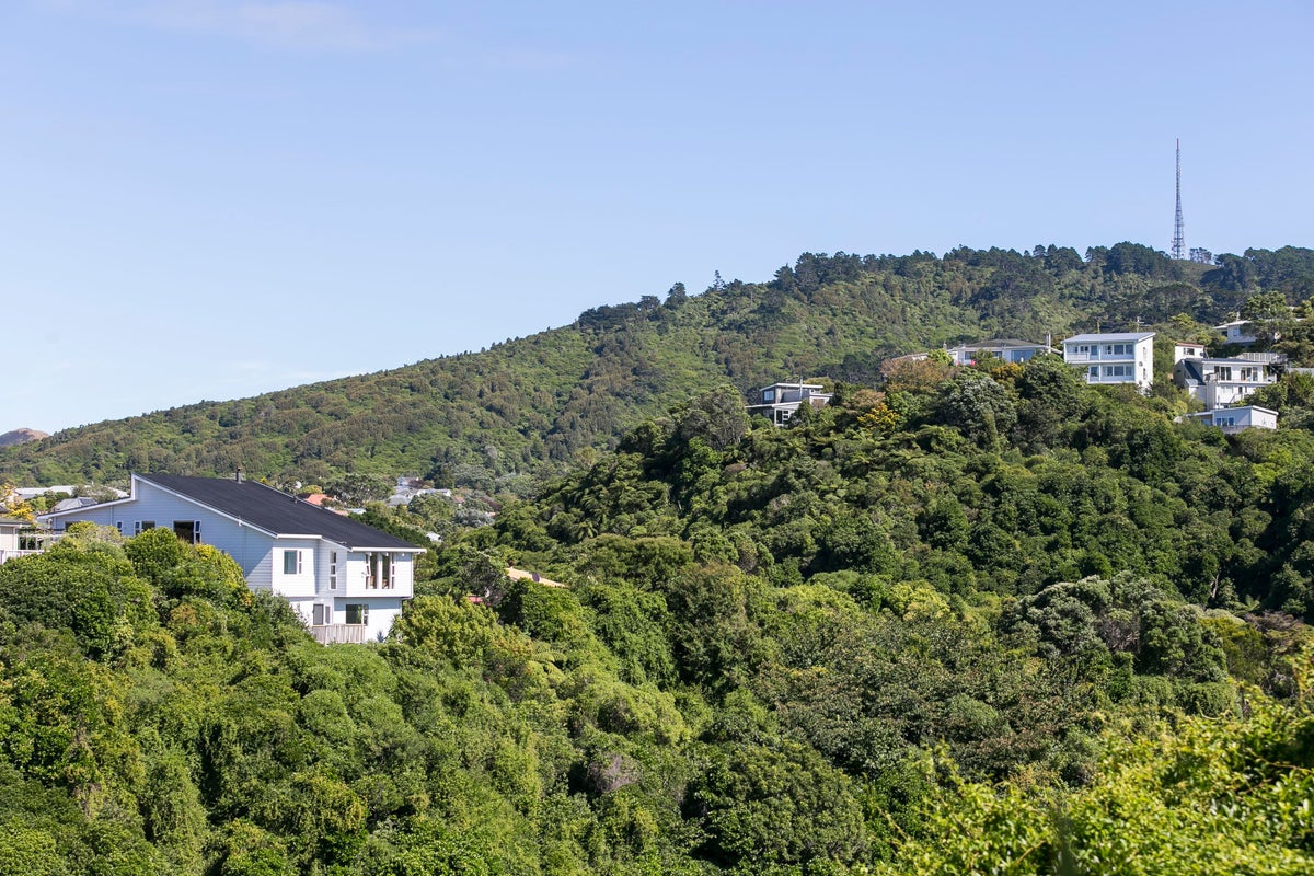 36A Ranui Crescent, Khandallah, Wellington - Carousel 18