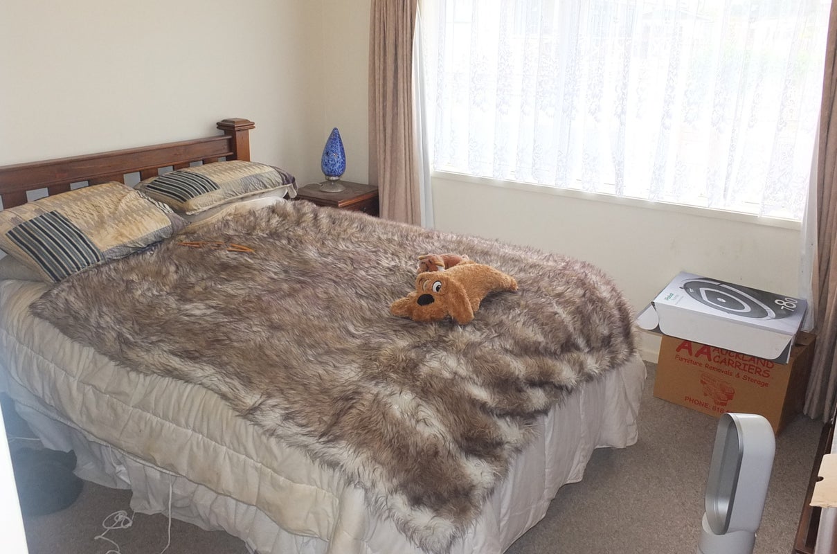 3 Skylark Close, Dargaville - Carousel 2