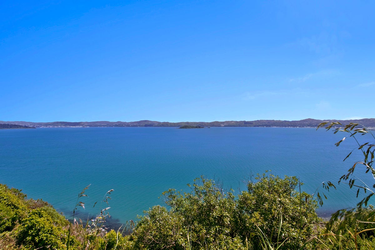 7 Orihau Terrace, Eastbourne, Lower Hutt - Carousel 2