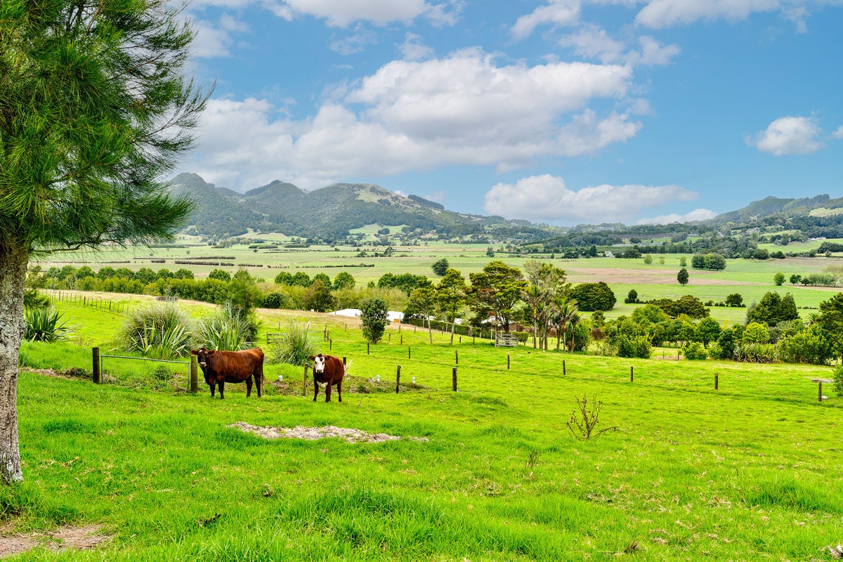 14 Matarau Road, Matarau, Whangarei - Carousel 2