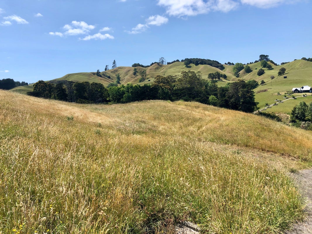 0 Tahekeroa Road, Makarau, Warkworth - Carousel 2
