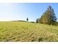 43C FLETT ROAD, Upper Moutere, MOUTERE - Carousel 5