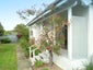 31 William Street, Appleby, Invercargill - Carousel 4