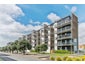 4 Bluegrey Avenue, Stonefields, Auckland - Carousel 2