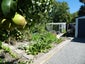 22 Stenness Avenue, Somerfield, Christchurch - Carousel 17