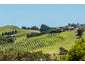 34 Trig Hill Road, Onetangi, Waiheke Island - Carousel 3