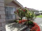 12A Albany Street, Gore, Gore - Carousel 3