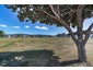 21 Crawford Green, Miramar, Wellington - Carousel 19